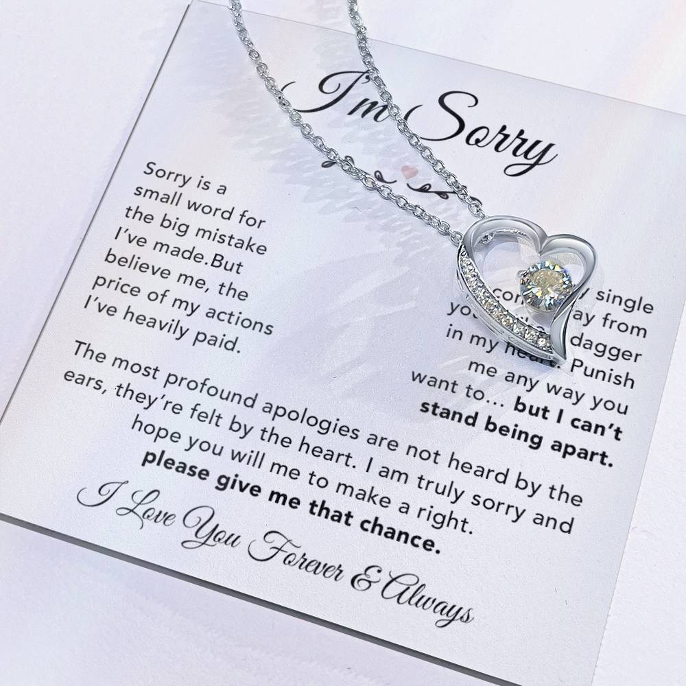 I'm Sorry Necklace Gifts, Apology Gifts For Her, Forgiveness Gift, Wife Gift 6_12