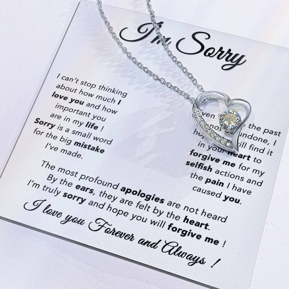 I'm Sorry Necklace, Apology Gift For Wife, Girlfriend, Forgiveness Jewelry 6_5