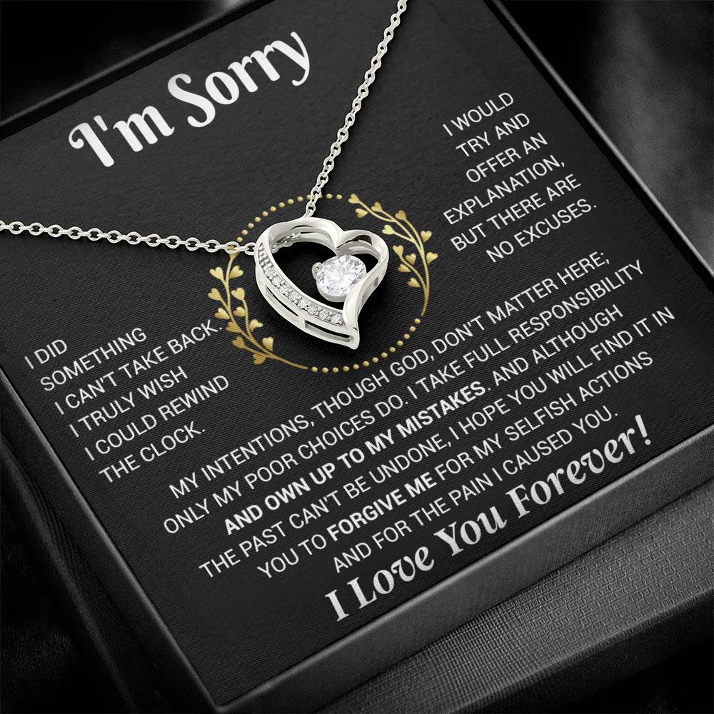 I'm Sorry Necklace Gifts, Apology Gifts For Her, Forgiveness Gift, Wife Gift 12_11