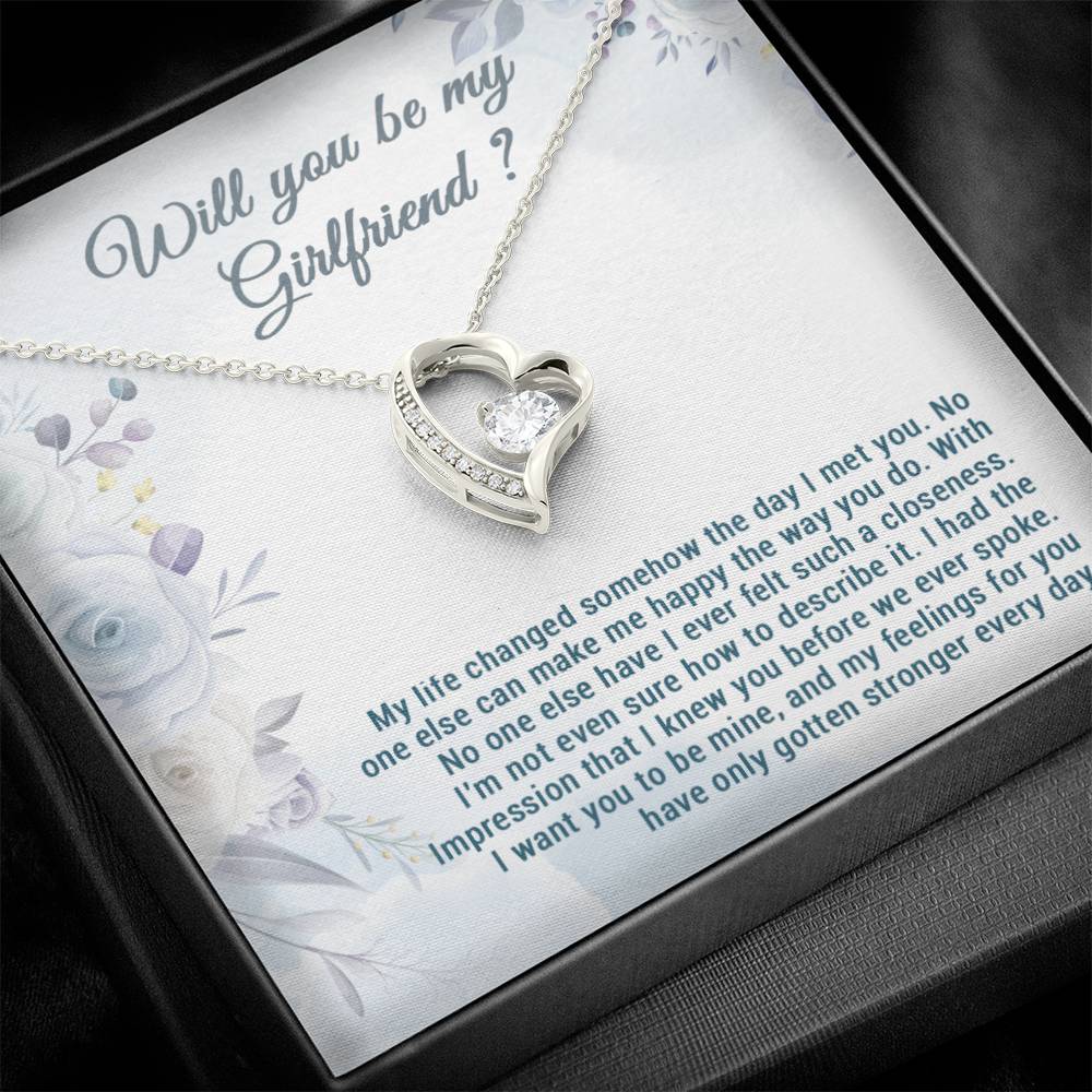 Be My Girlfriend Proposal, Will You Be My Girlfriend Gift, Future Girlfriend Necklace, Girlfriend Proposal Gift 28_7