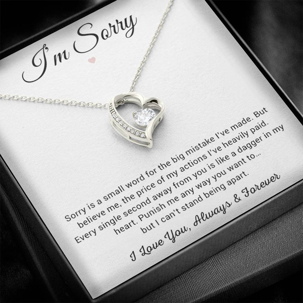 I'm Sorry Necklace Gifts, Apology Gifts For Her, Forgiveness Gift, Wife Gift 8_12