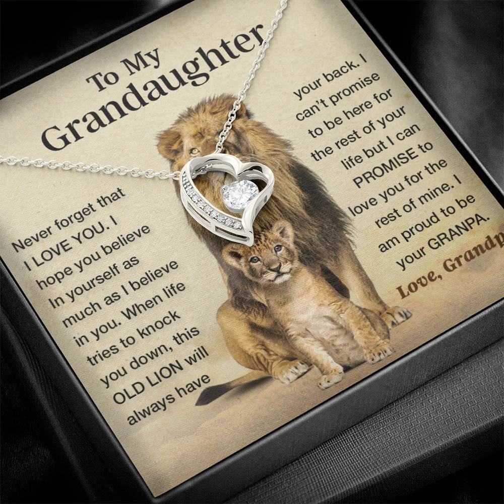 To my granddaughter lion dad