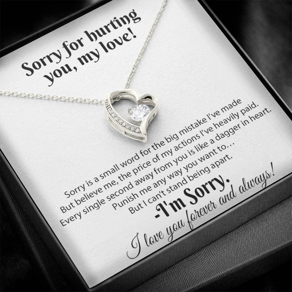 I'm Sorry Necklace Gifts, Apology Gifts For Her, Forgiveness Gift, Wife Gift 18_8