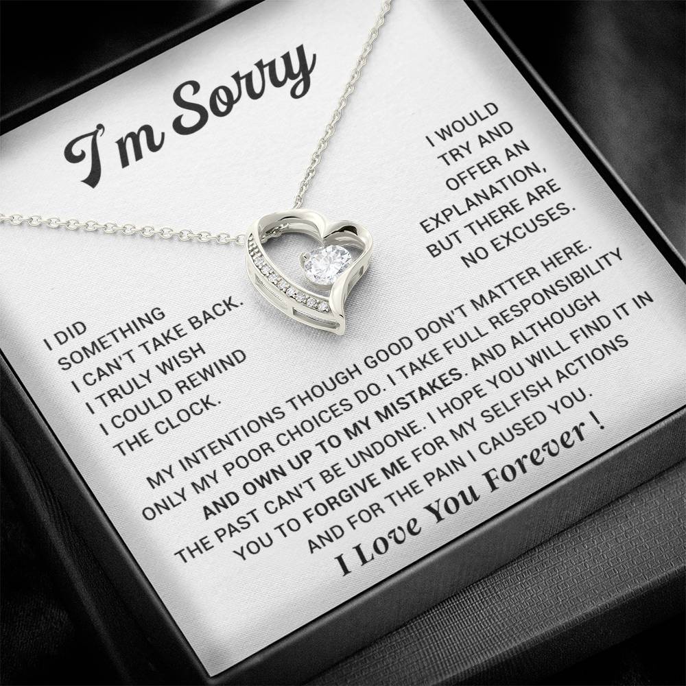 I'm Sorry Gift For Wife Necklace, Sorry Gift for Girlfriend, Forgiveness Gift For Her 29_10