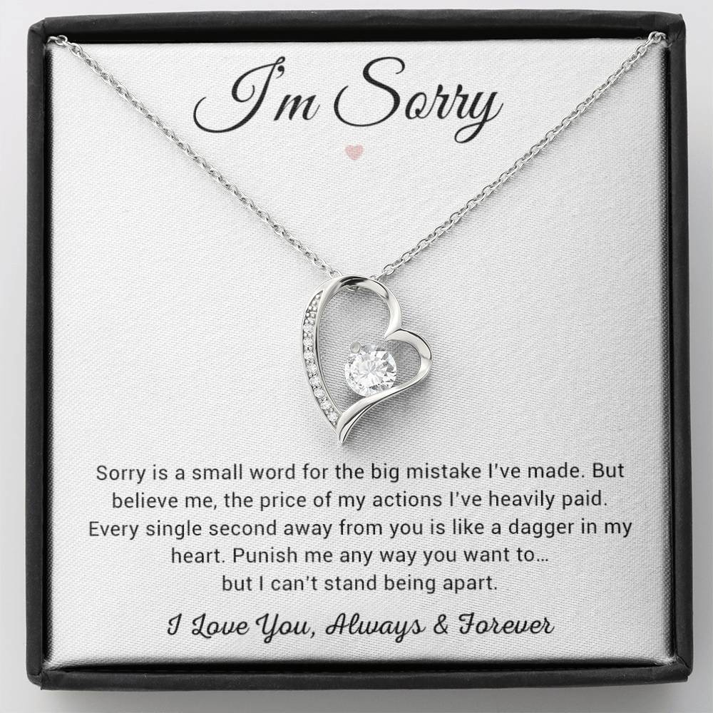 I'm Sorry Necklace Gifts, Apology Gifts For Her, Forgiveness Gift, Wife Gift 8_12