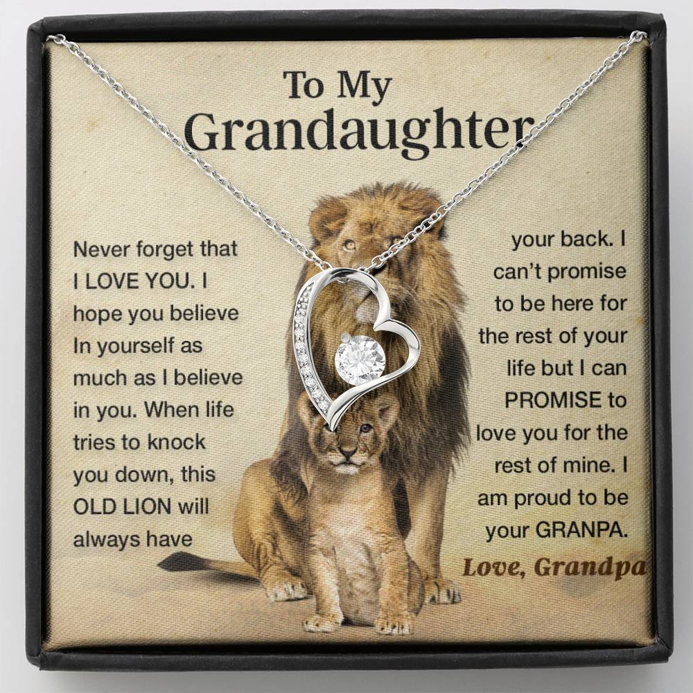 To my granddaughter lion dad