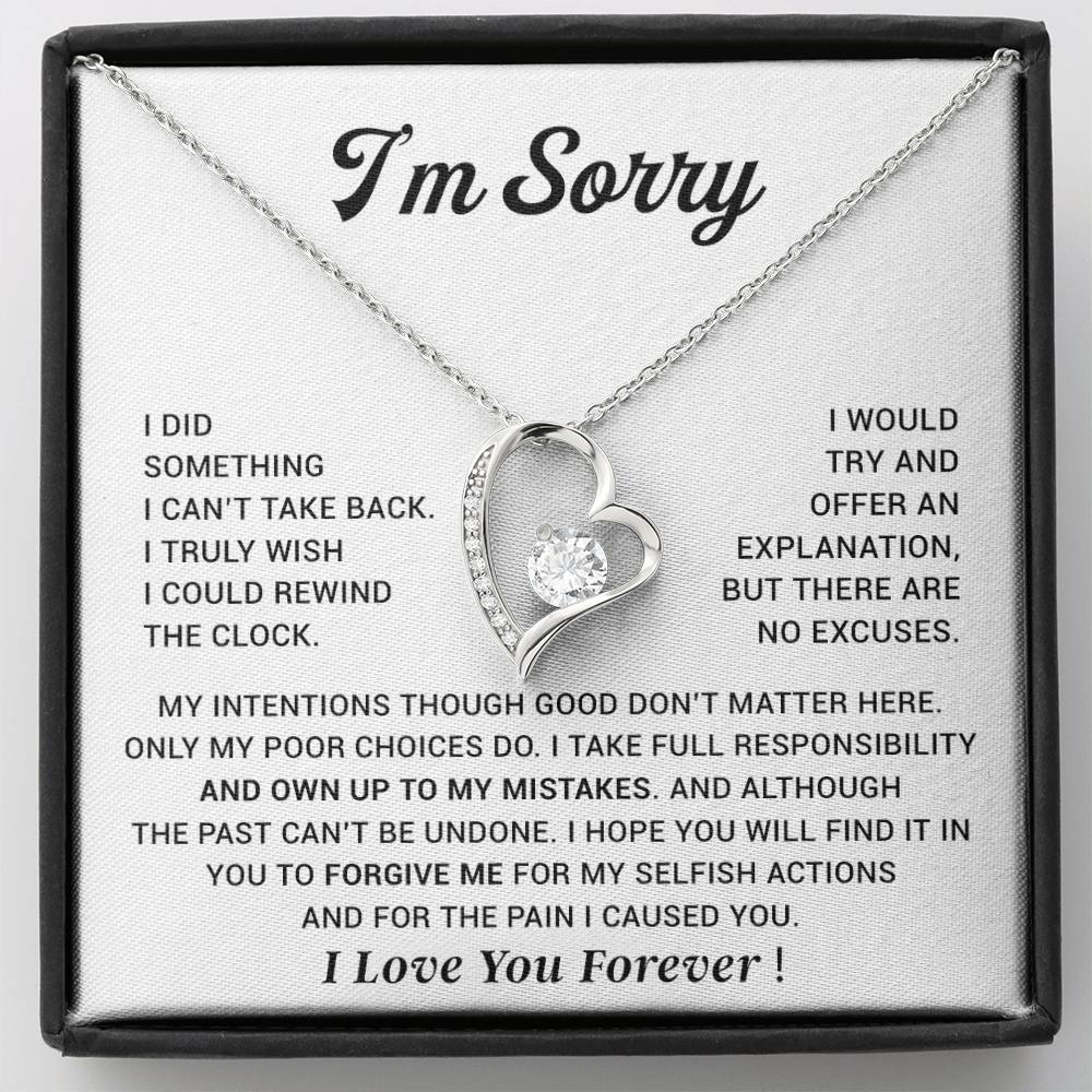 I'm Sorry Gift For Wife Necklace, Sorry Gift for Girlfriend, Forgiveness Gift For Her 29_10