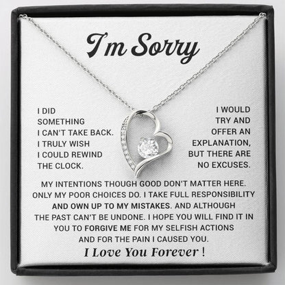 I'm Sorry Gift For Wife Necklace, Sorry Gift for Girlfriend, Forgiveness Gift For Her 29_10