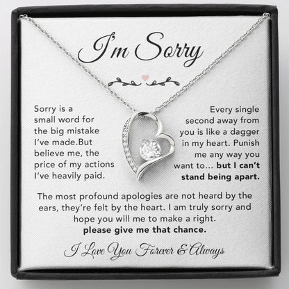 I'm Sorry Necklace Gifts, Apology Gifts For Her, Forgiveness Gift, Wife Gift 6_12