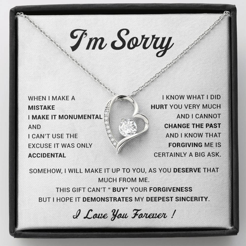 I'm Sorry Gift For Wife Necklace, Sorry Gift for Girlfriend, Forgiveness Gift For Her 23_5