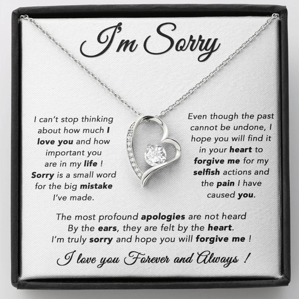 I'm Sorry Necklace, Apology Gift For Wife, Girlfriend, Forgiveness Jewelry 6_5