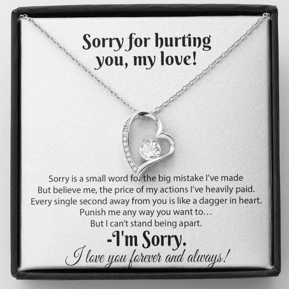 I'm Sorry Necklace Gifts, Apology Gifts For Her, Forgiveness Gift, Wife Gift 18_8