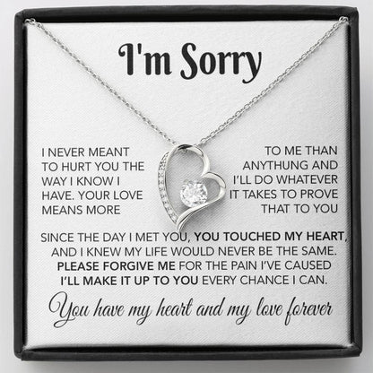 I'm Sorry Necklace Gifts, Apology Gifts For Her, Forgiveness Gift, Wife Gift 28_10