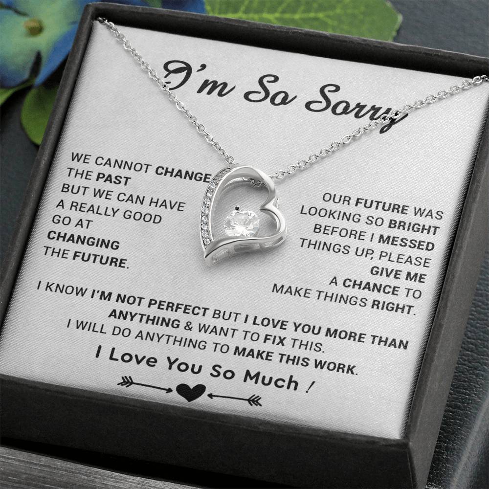 I'm Sorry Gift For Wife Necklace, Sorry Gift for Girlfriend, Forgiveness Gift For Her 22_5