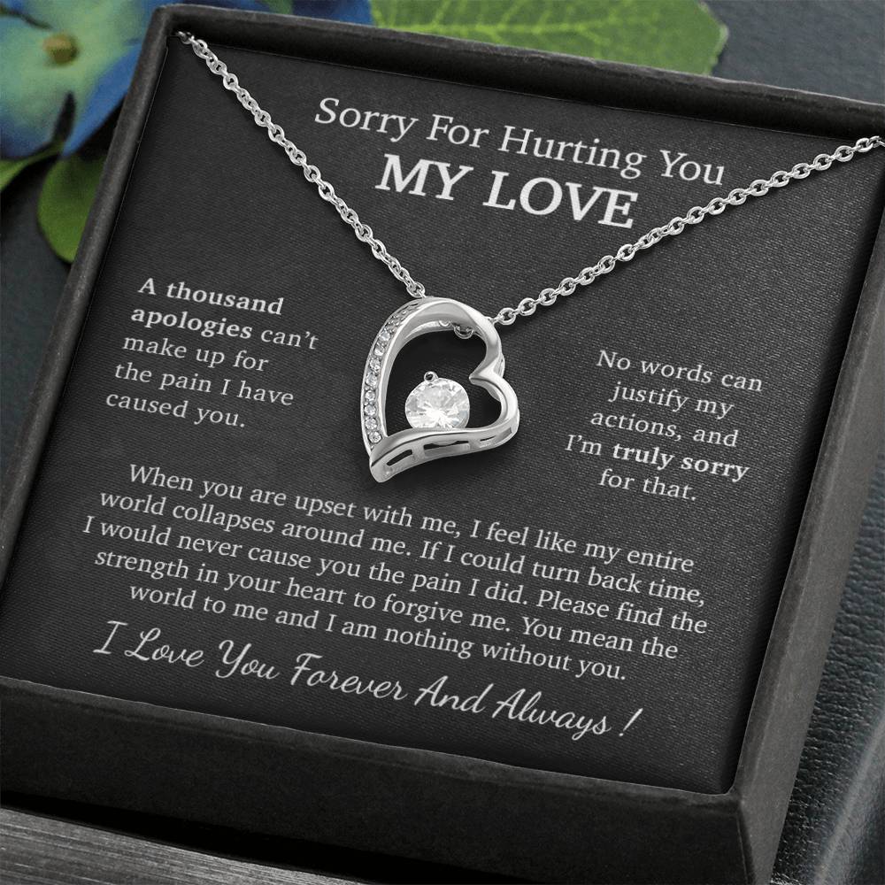 I'm Sorry Necklace Gift, Apology Gift For Her, Forgiveness Gift