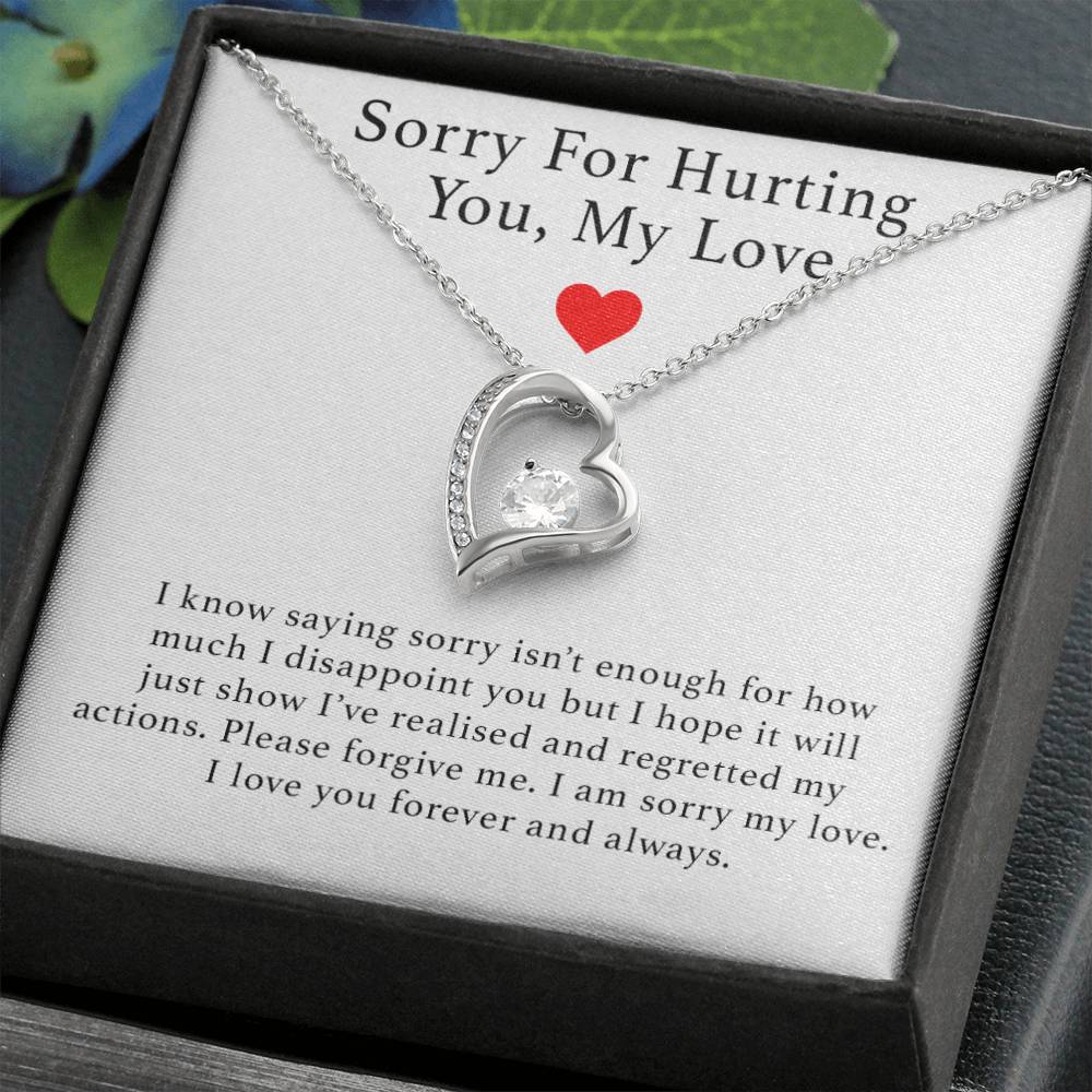 Sorry For Hurting You Necklace, Forgiveness Gift, Apology Gift for Her, I'm Sorry Gift For Her
