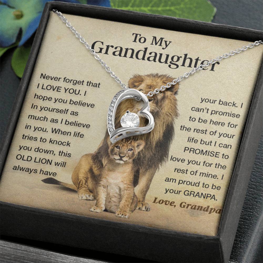 To my granddaughter lion dad