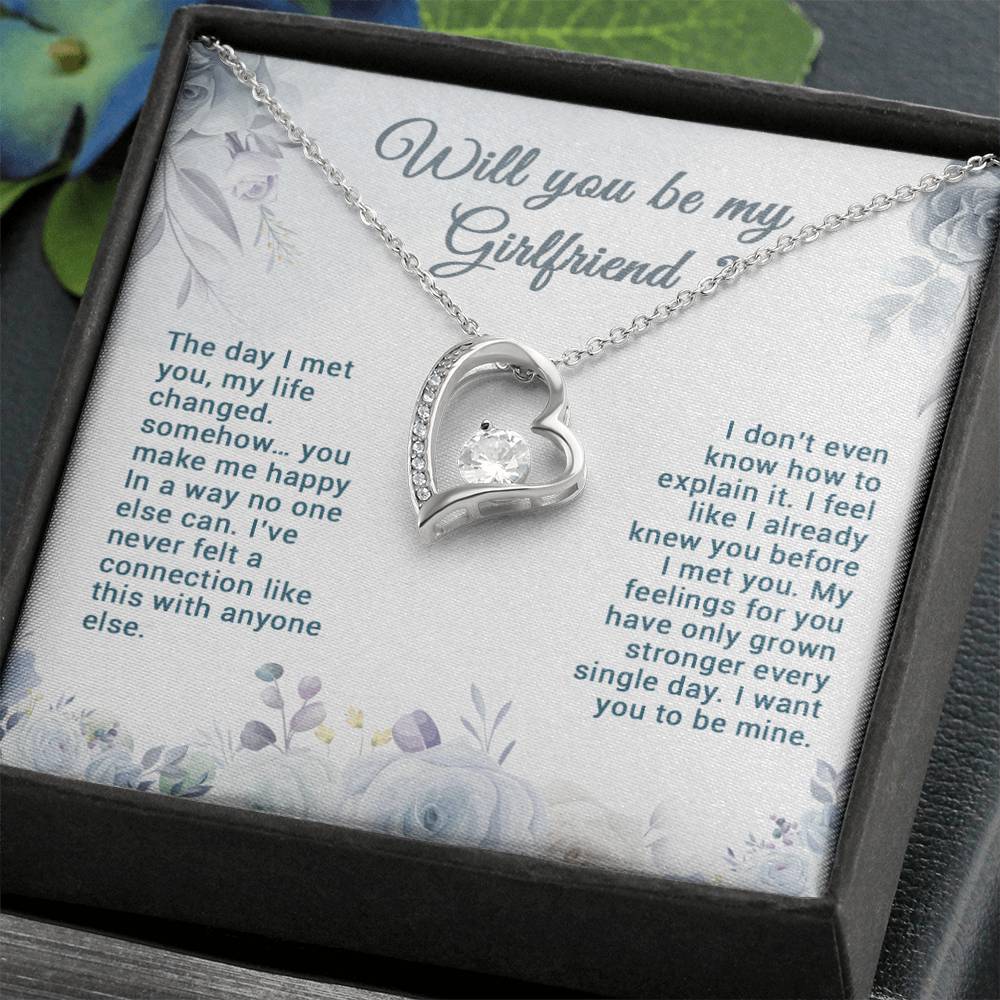 Be My Girlfriend Proposal, Will You Be My Girlfriend Gift, Future Girlfriend Necklace, Girlfriend Proposal Gift 29_7