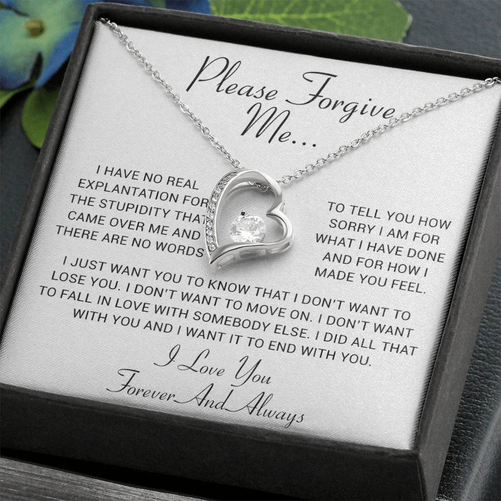 I'm Sorry Gift, Apology Gift, Sorry Poem, Forgiveness, Thinking of You Necklace