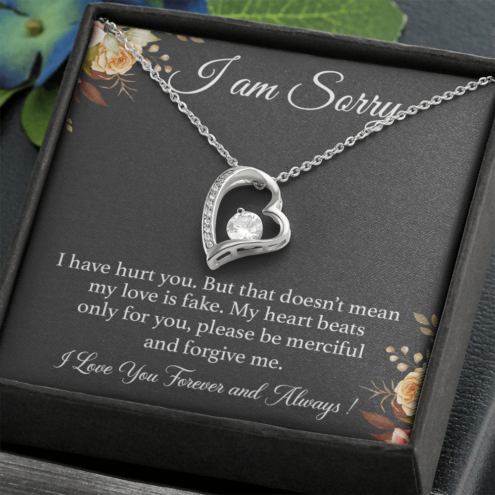 I'm Sorry Necklace Gift for Her, Apology Card for Girlfriend, Forgiveness Gift