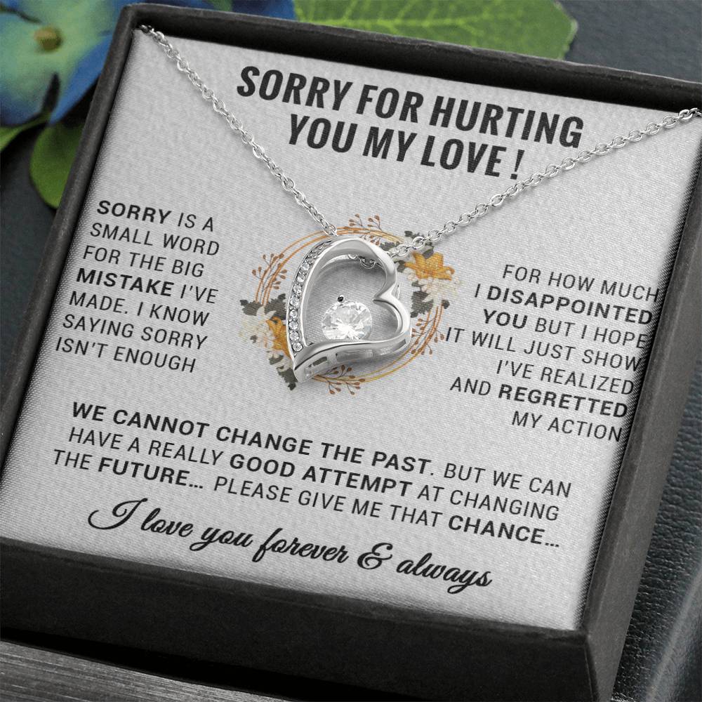 I'm Sorry Necklace Gifts, Apology Gifts For Her, Forgiveness Gift, Wife Gift 12_9