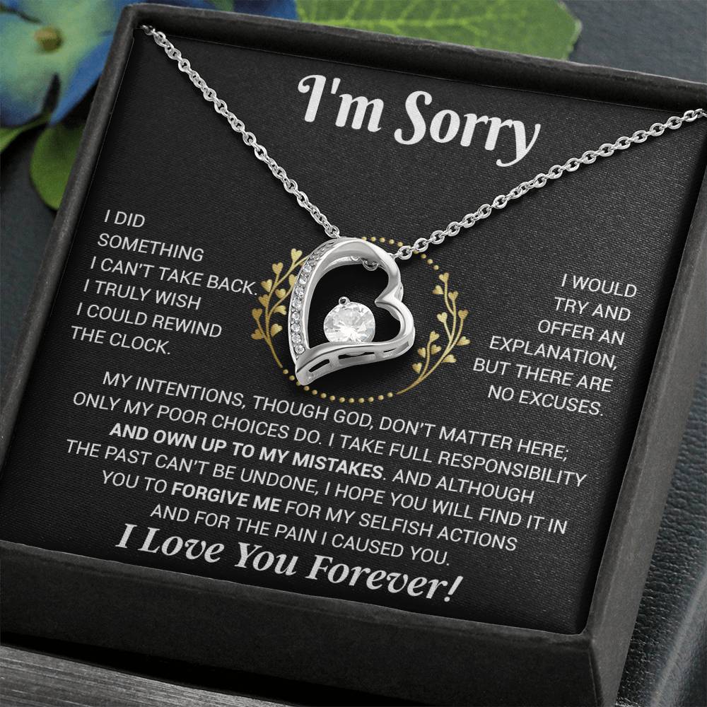I'm Sorry Necklace Gifts, Apology Gifts For Her, Forgiveness Gift, Wife Gift 12_11