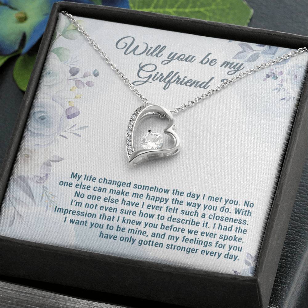Be My Girlfriend Proposal, Will You Be My Girlfriend Gift, Future Girlfriend Necklace, Girlfriend Proposal Gift 28_7