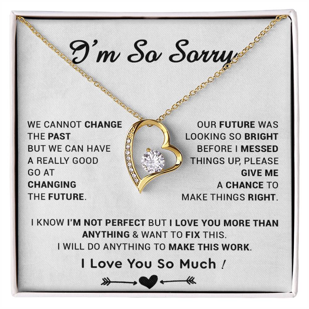 I'm Sorry Gift For Wife Necklace, Sorry Gift for Girlfriend, Forgiveness Gift For Her 22_5