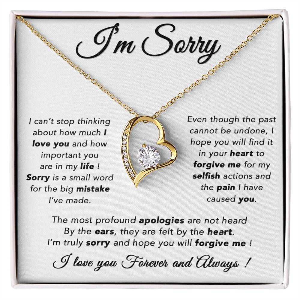 I'm Sorry Necklace, Apology Gift For Wife, Girlfriend, Forgiveness Jewelry 6_5