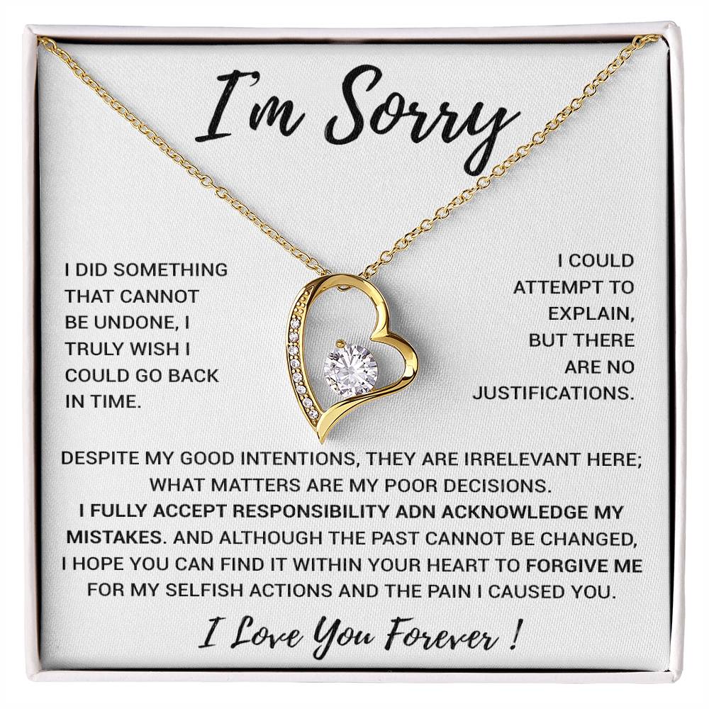 I'm Sorry Gift Apology Gift Necklace For Her, Wife, Girlfriend, Friend, Forgive 2_12