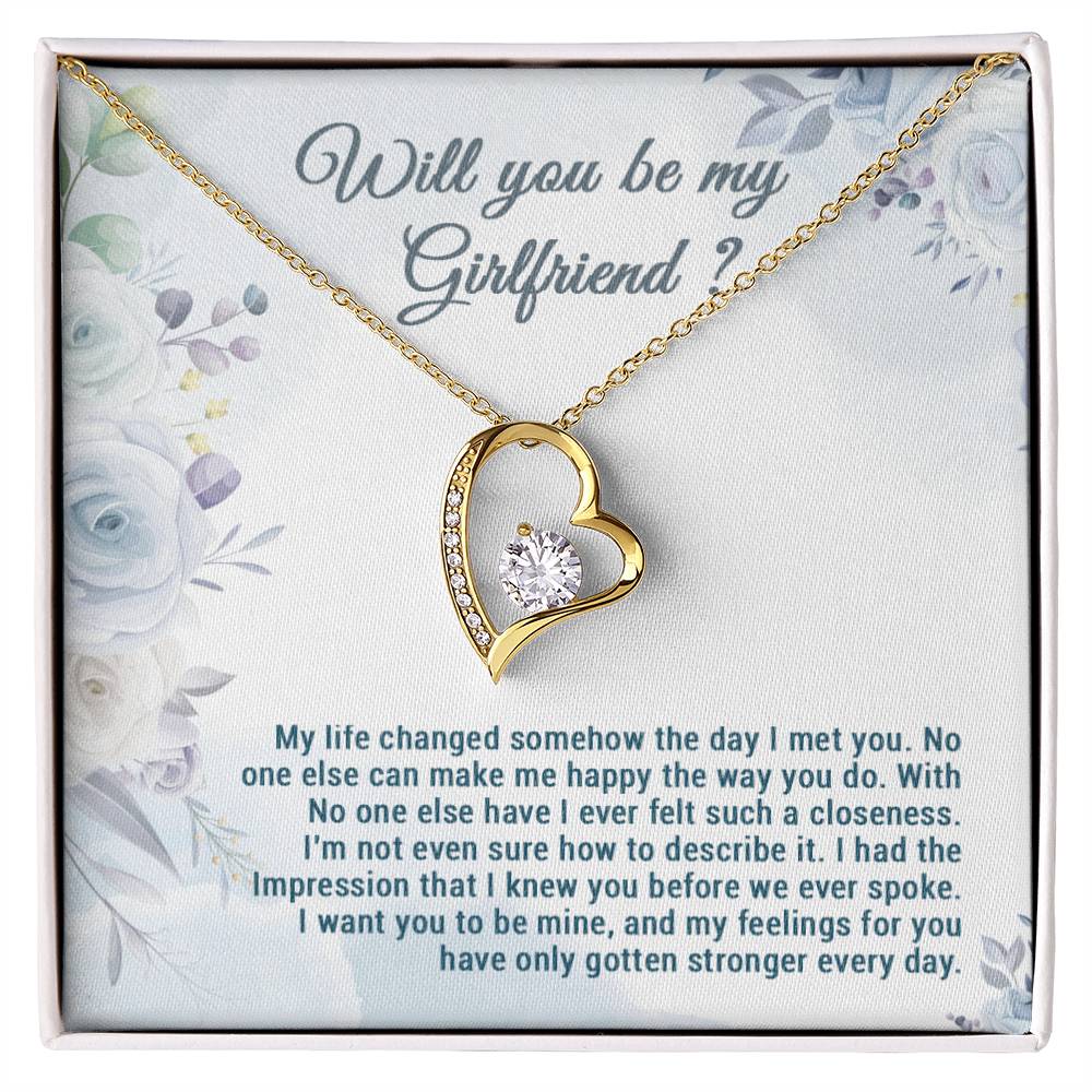 Be My Girlfriend Proposal, Will You Be My Girlfriend Gift, Future Girlfriend Necklace, Girlfriend Proposal Gift 28_7
