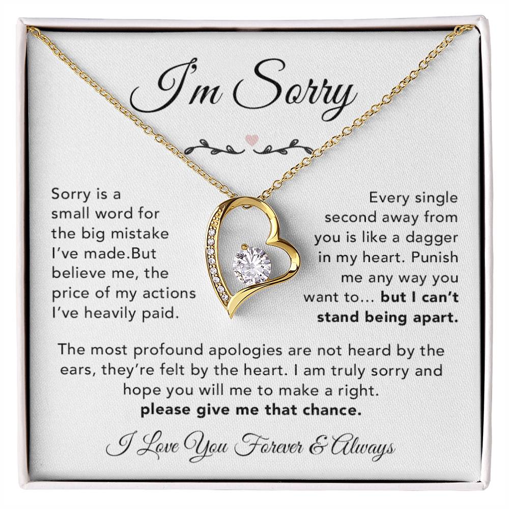 I'm Sorry Necklace Gifts, Apology Gifts For Her, Forgiveness Gift, Wife Gift 6_12