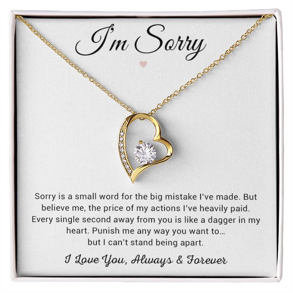 I'm Sorry Necklace Gifts, Apology Gifts For Her, Forgiveness Gift, Wife Gift 8_12