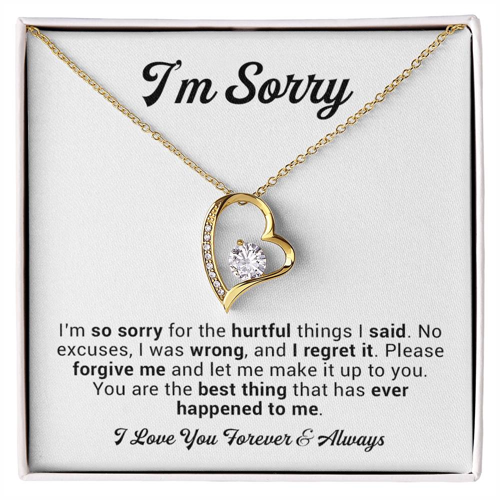 I'm Sorry Gift For Wife Necklace, Sorry Gift for Girlfriend, Forgiveness Gift For Her 2_11