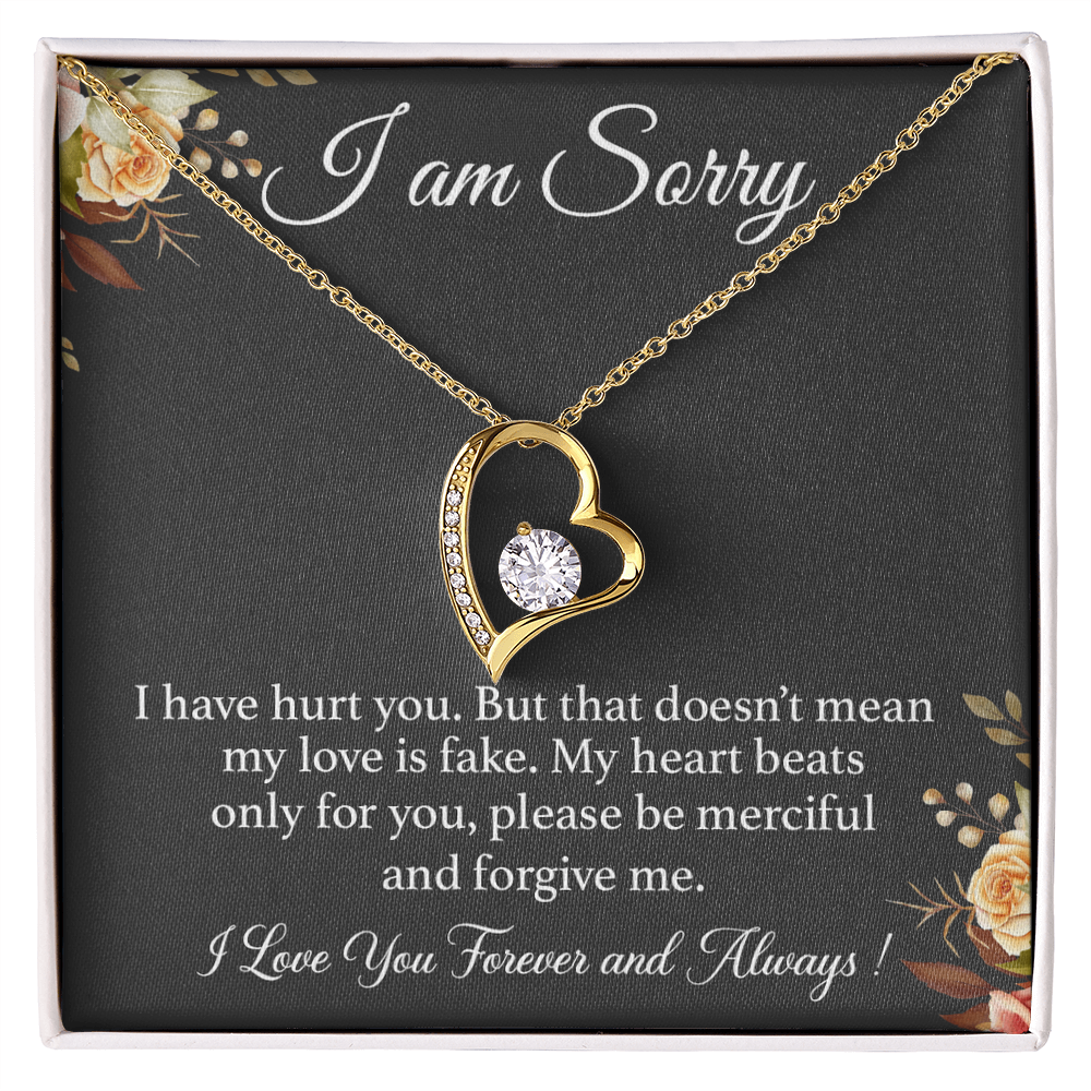 I'm Sorry Necklace Gift for Her, Apology Card for Girlfriend, Forgiveness Gift