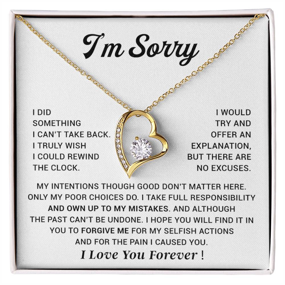I'm Sorry Gift For Wife Necklace, Sorry Gift for Girlfriend, Forgiveness Gift For Her 29_10
