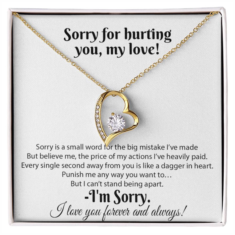I'm Sorry Necklace Gifts, Apology Gifts For Her, Forgiveness Gift, Wife Gift 18_8