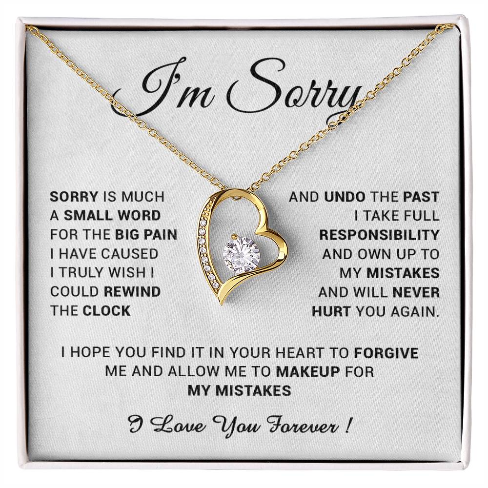 I'm Sorry Gift For Wife Necklace, Sorry Gift for Girlfriend, Forgiveness Gift For Her 24_5