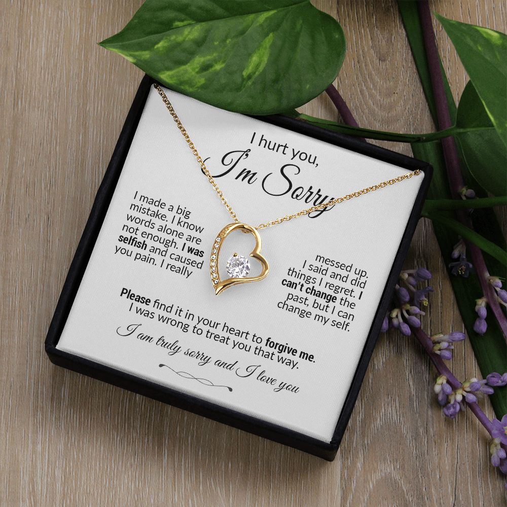 Forgive me Necklace, Apology Jewelry, Sorry Gift Wife, Sorry Gift Girlfriend, Sorry Gift Friend, Sorry Gift
