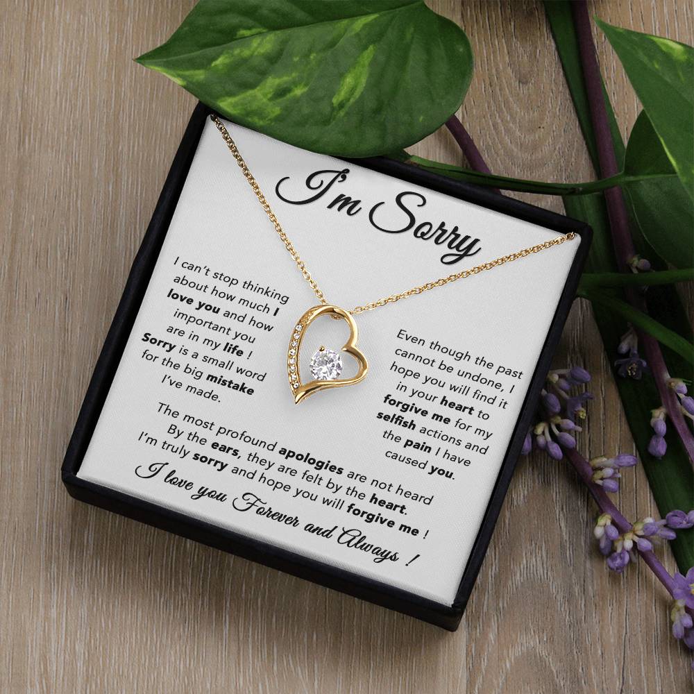 I'm Sorry Necklace, Apology Gift For Wife, Girlfriend, Forgiveness Jewelry 6_5