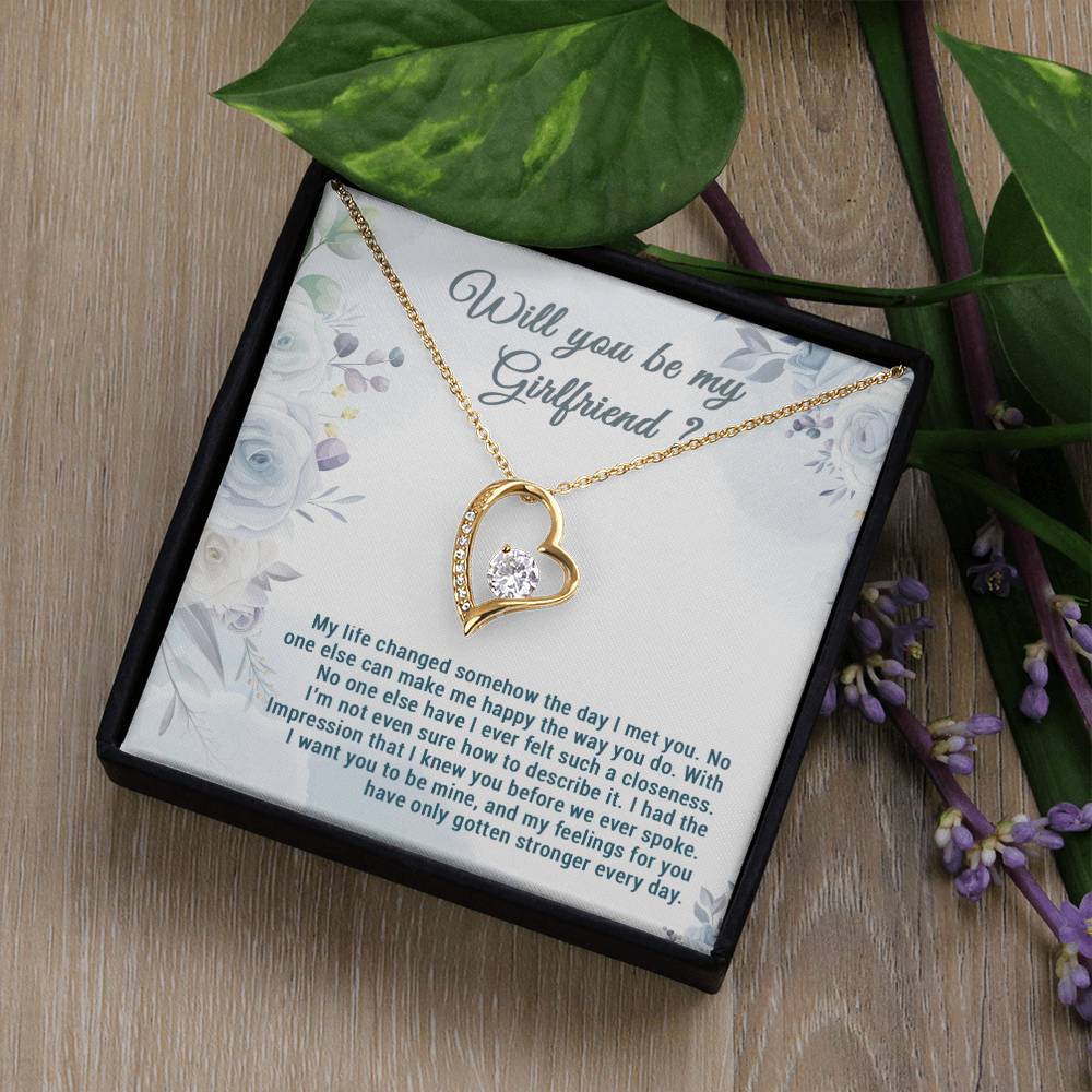 Be My Girlfriend Proposal, Will You Be My Girlfriend Gift, Future Girlfriend Necklace, Girlfriend Proposal Gift 28_7