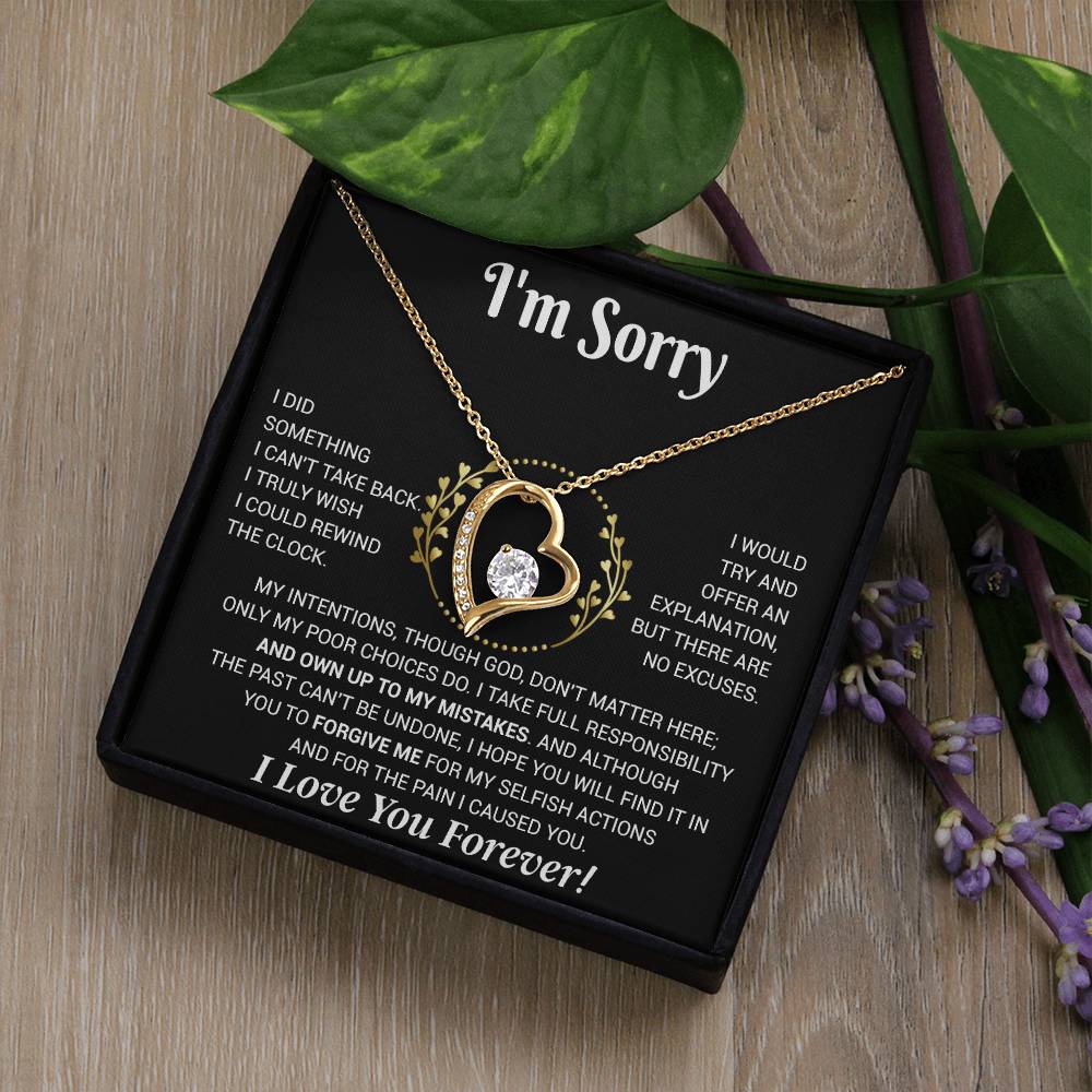 I'm Sorry Necklace Gifts, Apology Gifts For Her, Forgiveness Gift, Wife Gift 12_11
