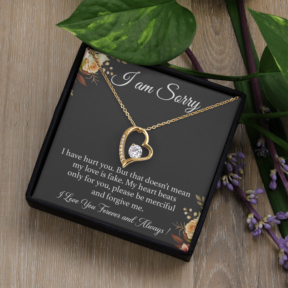 I'm Sorry Necklace Gift for Her, Apology Card for Girlfriend, Forgiveness Gift