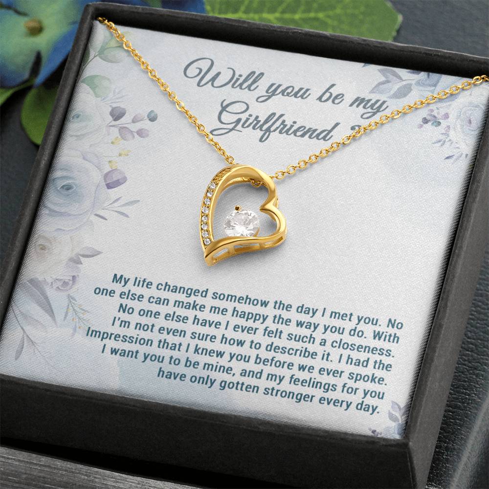 Be My Girlfriend Proposal, Will You Be My Girlfriend Gift, Future Girlfriend Necklace, Girlfriend Proposal Gift 28_7