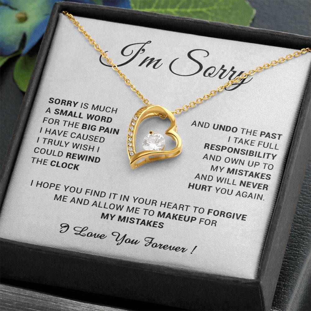 I'm Sorry Gift For Wife Necklace, Sorry Gift for Girlfriend, Forgiveness Gift For Her 24_5