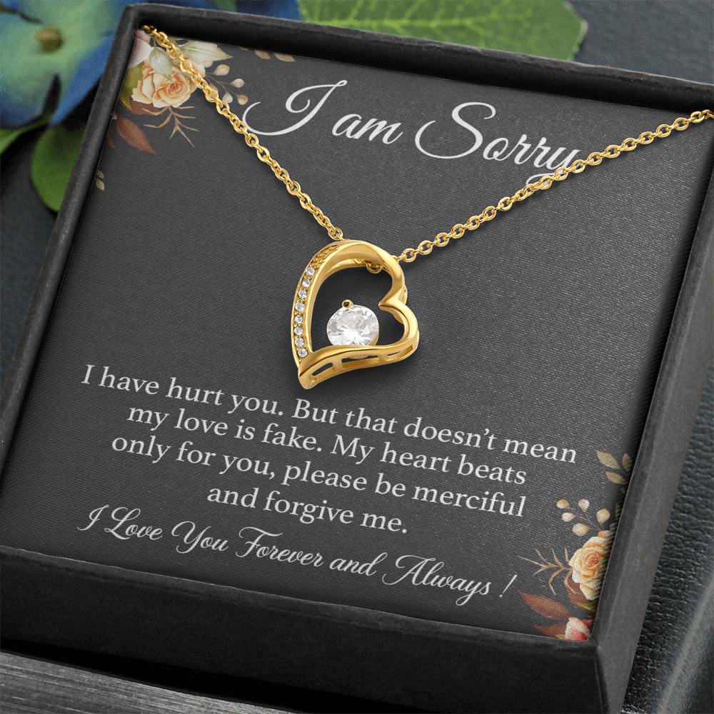 I'm Sorry Necklace Gift for Her, Apology Card for Girlfriend, Forgiveness Gift