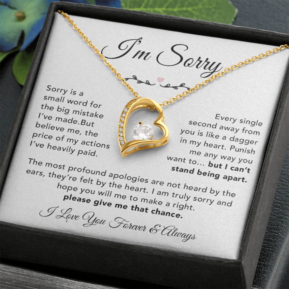 I'm Sorry Necklace Gifts, Apology Gifts For Her, Forgiveness Gift, Wife Gift 6_12