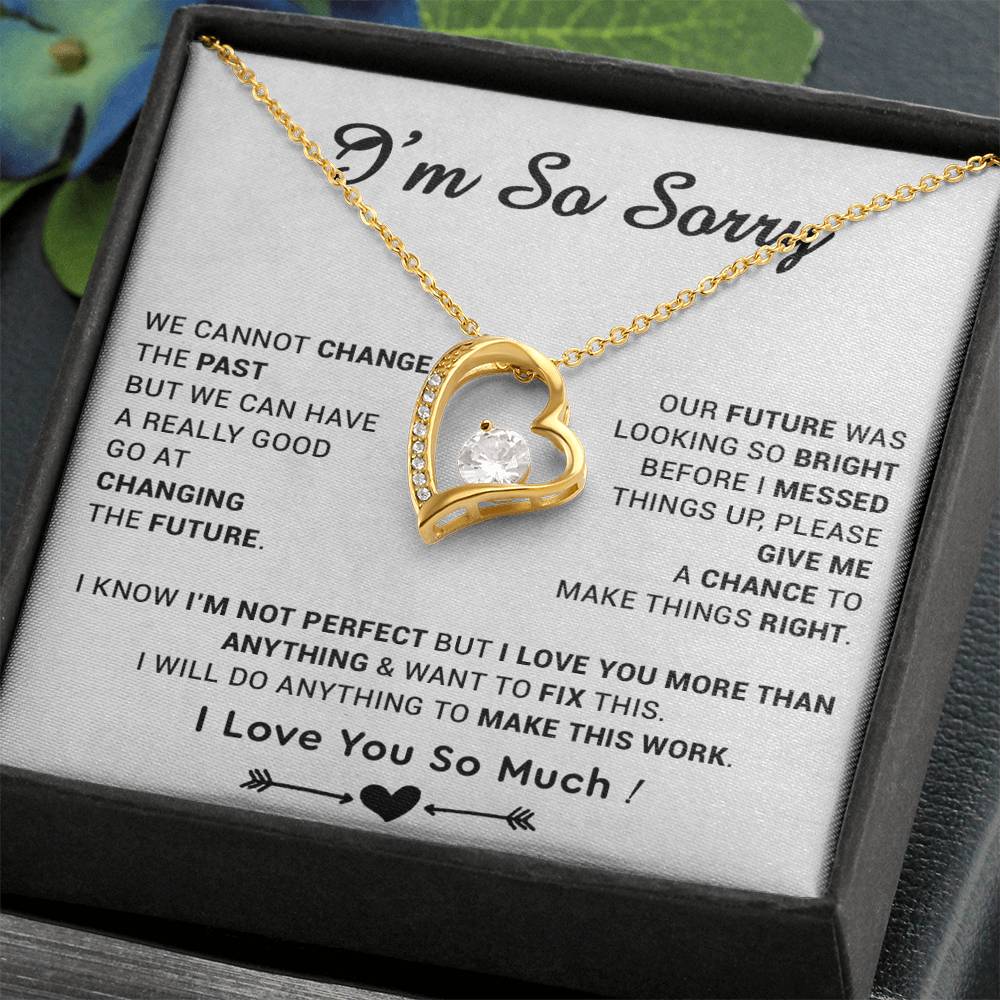 I'm Sorry Gift For Wife Necklace, Sorry Gift for Girlfriend, Forgiveness Gift For Her 22_5