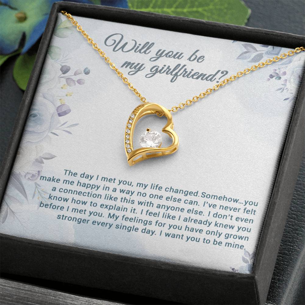 Be My Girlfriend Proposal, Will You Be My Girlfriend Gift, Future Girlfriend