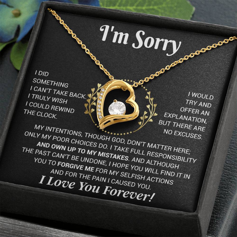 I'm Sorry Necklace Gifts, Apology Gifts For Her, Forgiveness Gift, Wife Gift 12_11